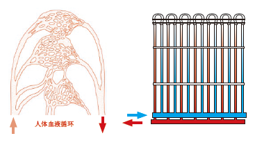 ?毛細管輻射空調(diào)系統(tǒng)效果好不好？毛細管輻射空調(diào)原理